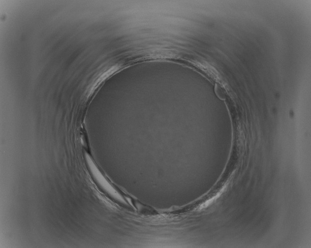 X0000067890889200604271823