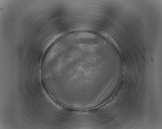 X0000067890890200604271823