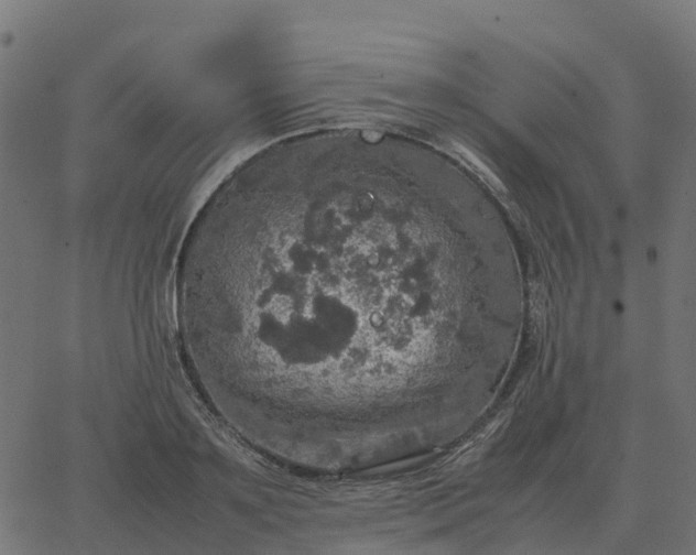 X0000067890891200604271823