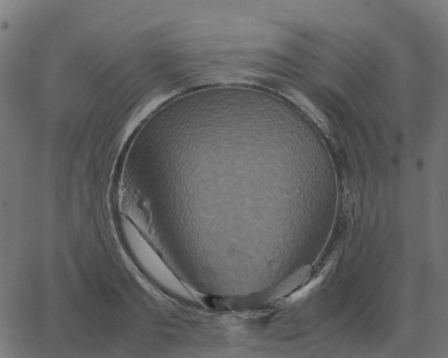 X0000067890893200604271823