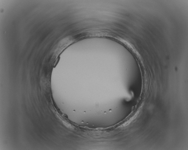 X0000067890897200604271823