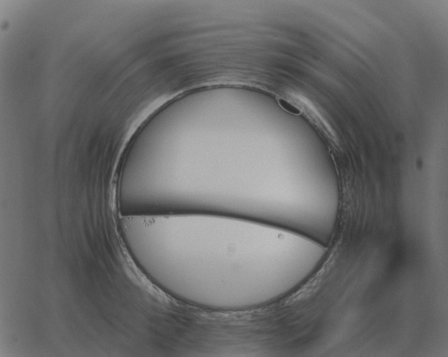 X0000067890900200604271823