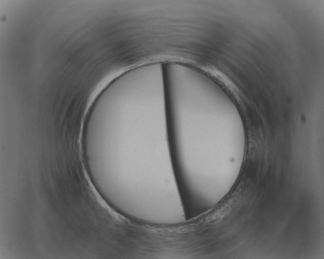 X0000067890902200604271823