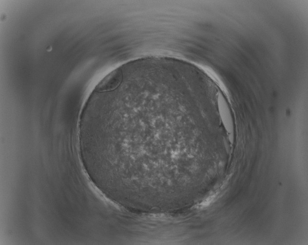 X0000067890903200604271823