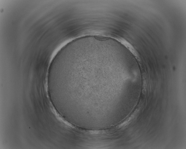 X0000067890904200604271823