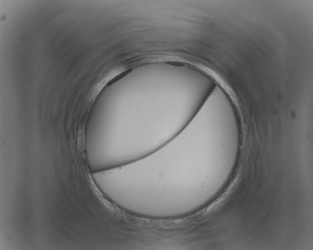 X0000067890905200604271823