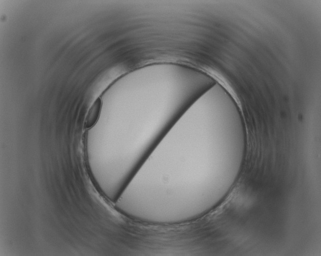 X0000067890906200604271823