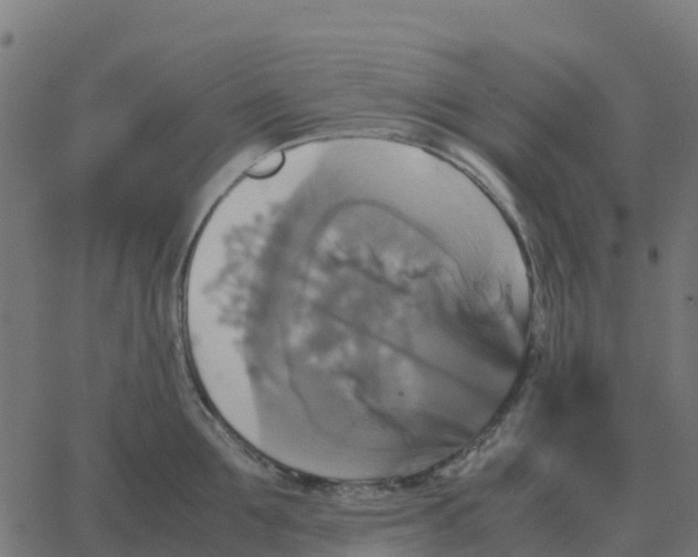 X0000067890907200604271823