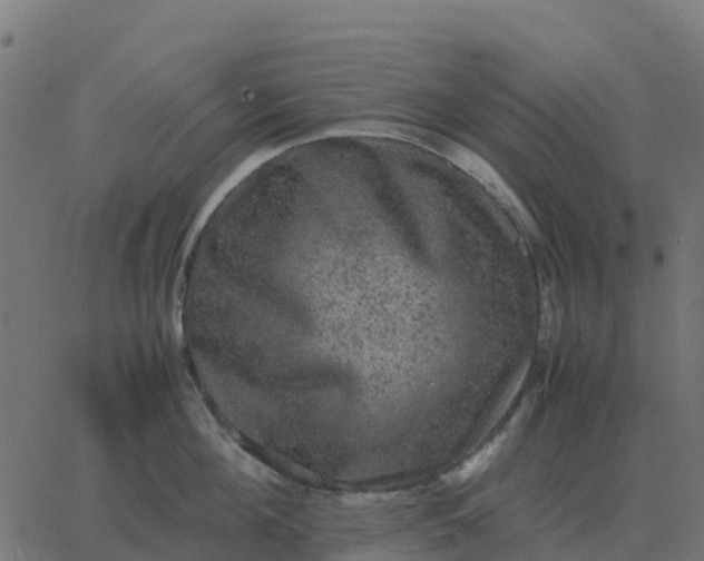 X0000067890908200604271823