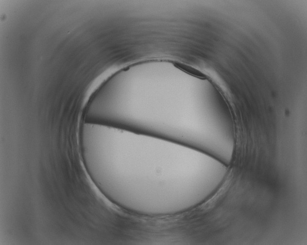 X0000067890910200604271823