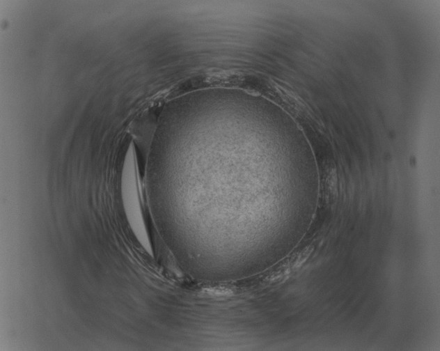 X0000067890914200604271822