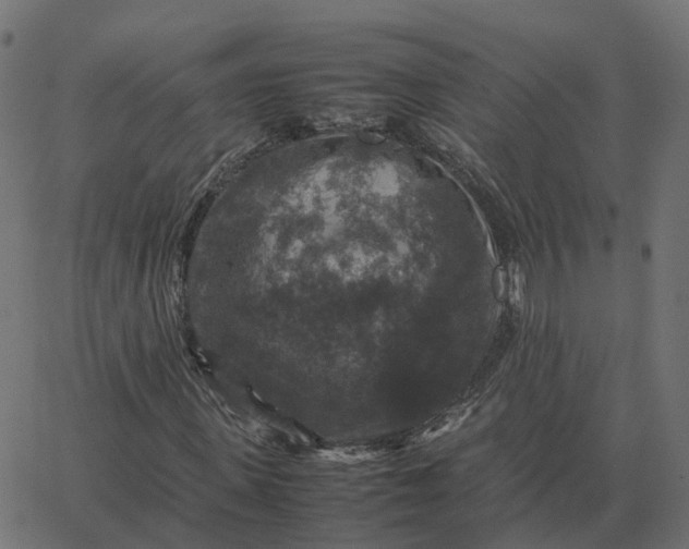 X0000067890915200604271822