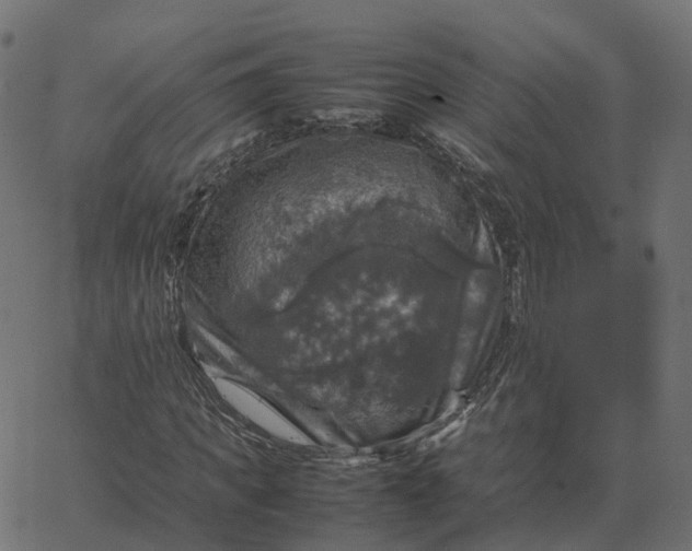 X0000067890917200604271822