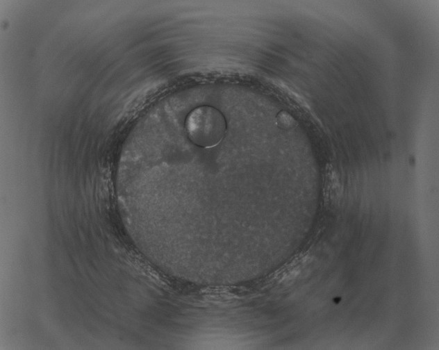 X0000067890918200604271822