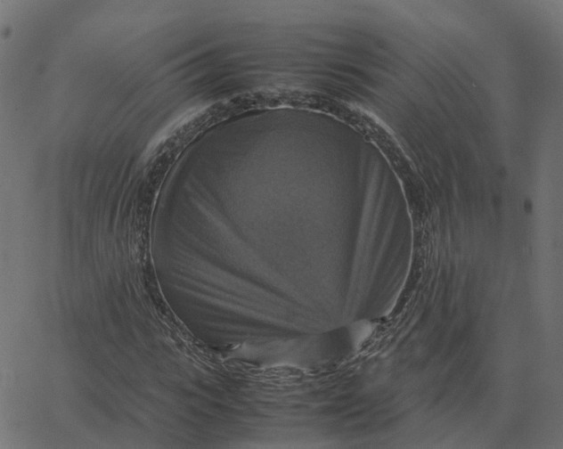 X0000067890919200604271822