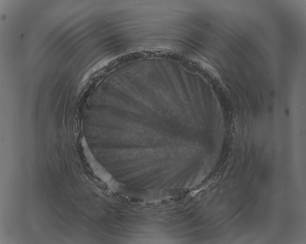 X0000067890920200604271822