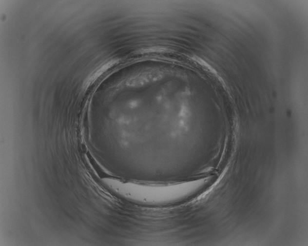 X0000067890921200604271822