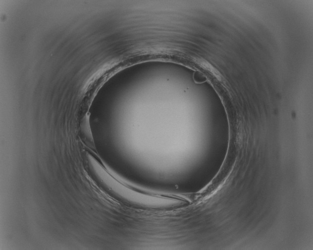 X0000067890922200604271822