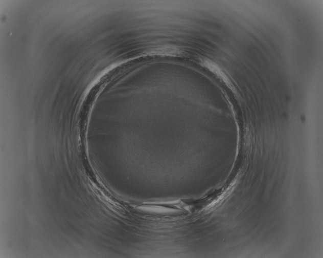 X0000067890923200604271822