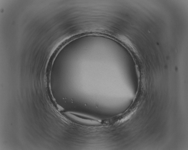 X0000067890924200604271822