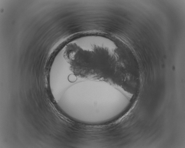 X0000067890925200604271822