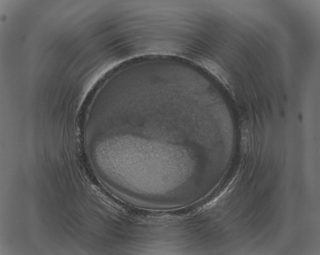 X0000067890926200604271822