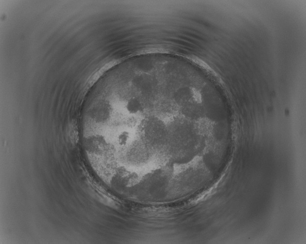 X0000067890929200604271822