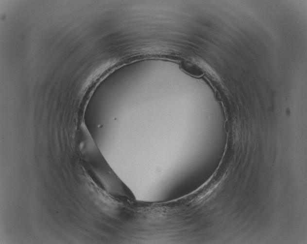 X0000067890930200604271822