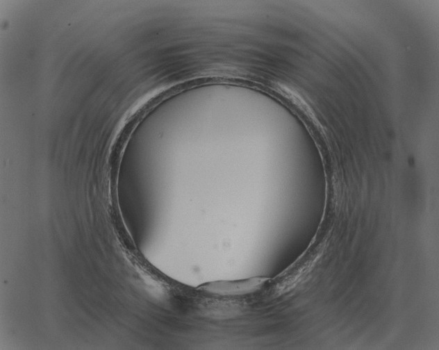 X0000067890931200604271822