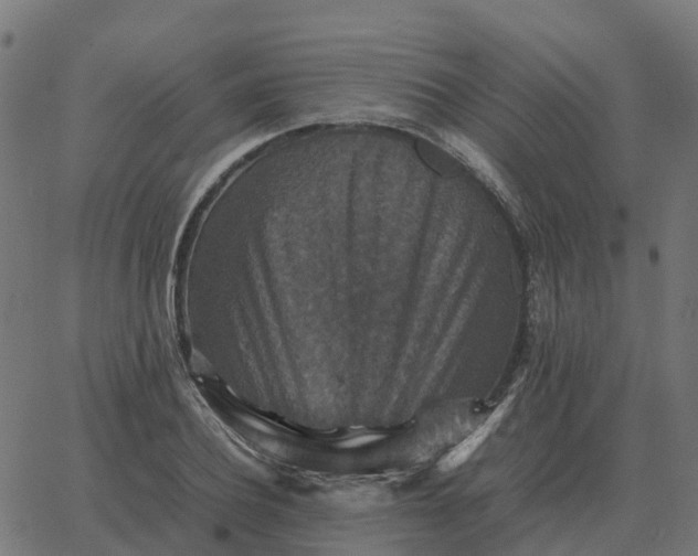 X0000067890932200604271822