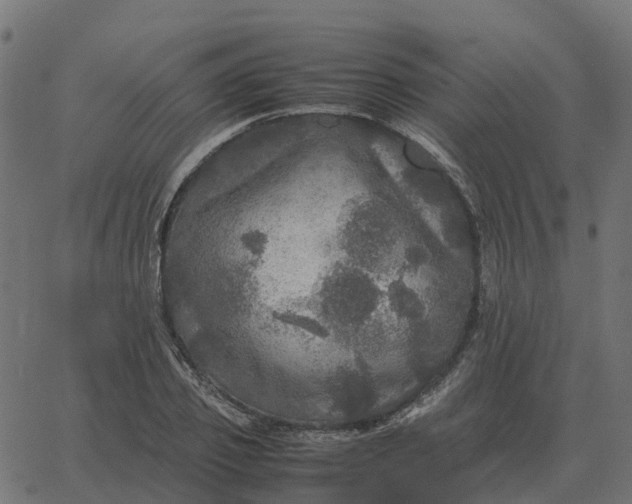 X0000067890933200604271822