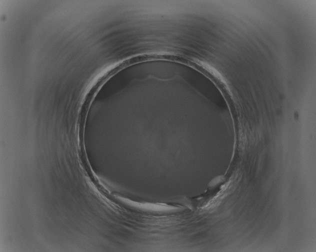 X0000067890935200604271823