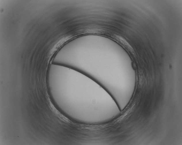 X0000067890938200604271823