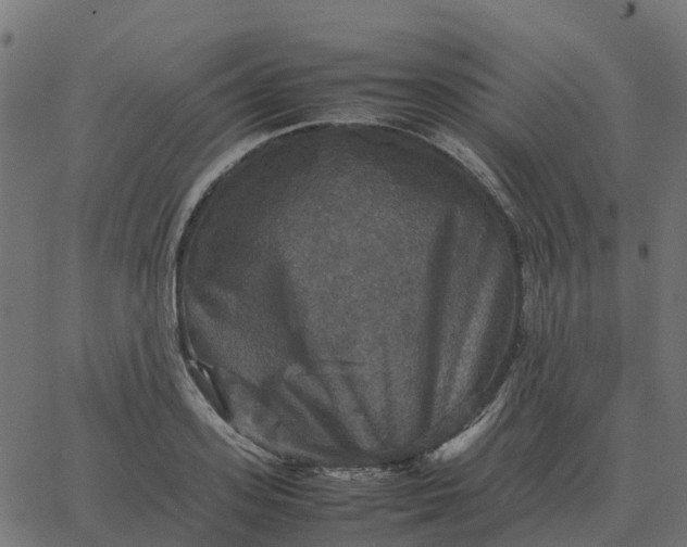 X0000067890939200604271823