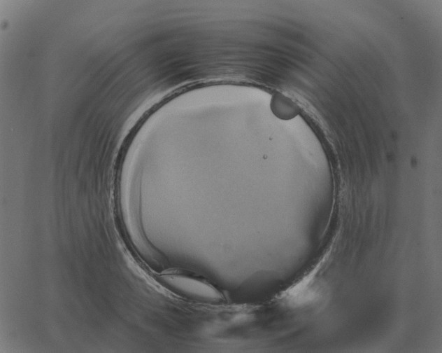 X0000067890941200604271823