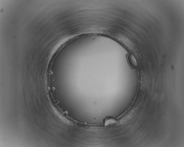 X0000067890942200604271823