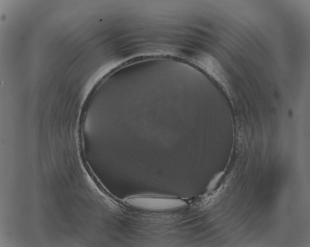 X0000067890943200604271823