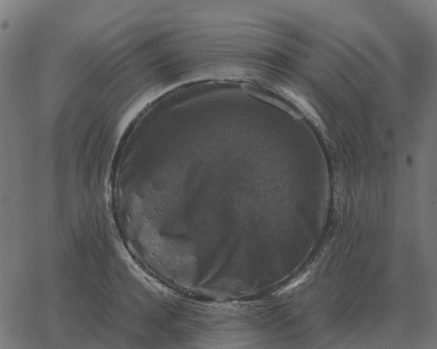 X0000067890944200604271823