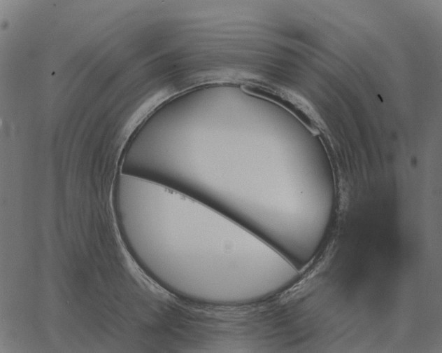 X0000067890946200604271823