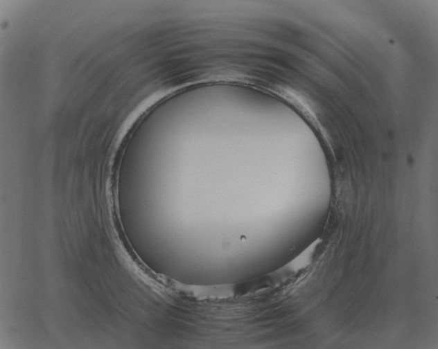 X0000067890947200604271823