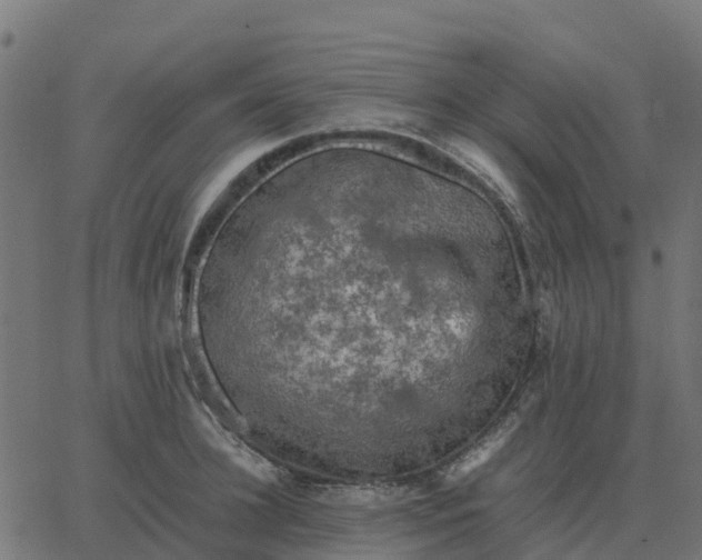 X0000067890948200604271823