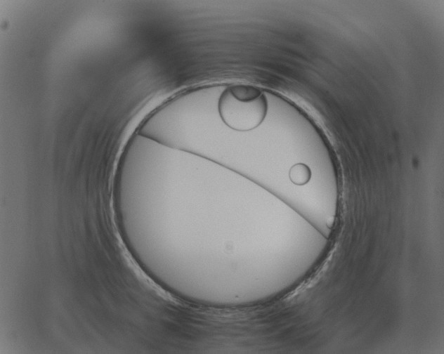 X0000067890949200604271823