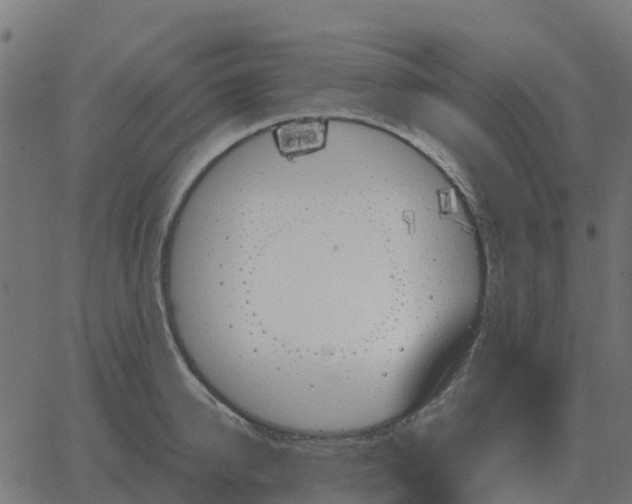 X0000067890950200604271823