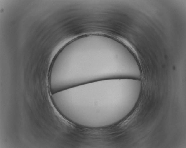 X0000067890951200604271823