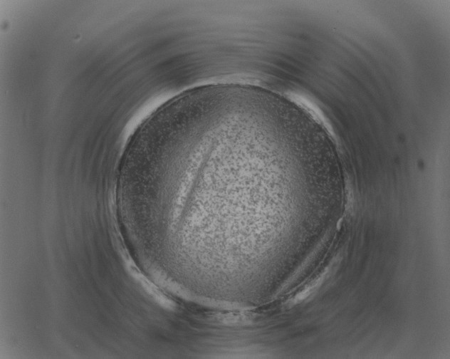 X0000067890952200604271823