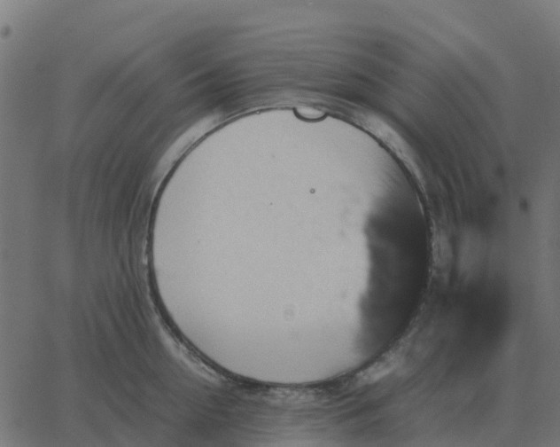 X0000067890954200604271823