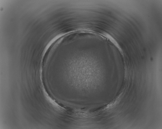 X0000067890955200604271823