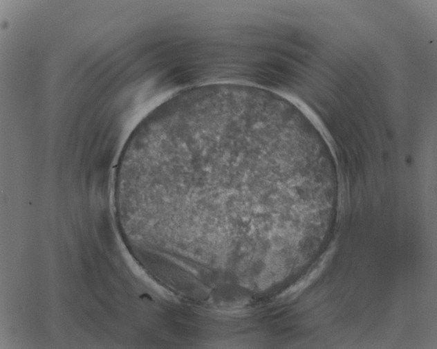 X0000067890957200604271823