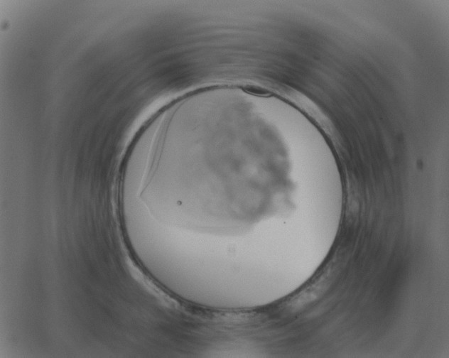 X0000067890958200604271823