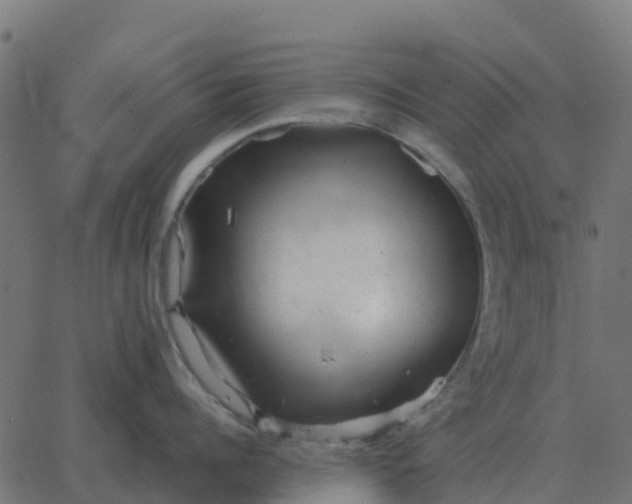 X0000067890960200604271823